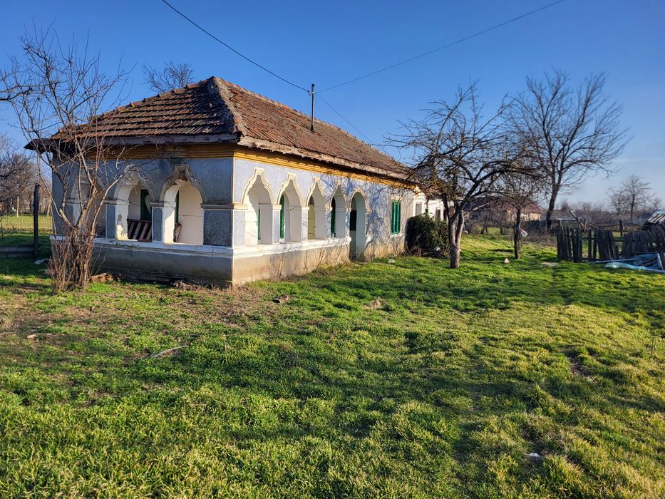 Vand casă în sat Mosesti
