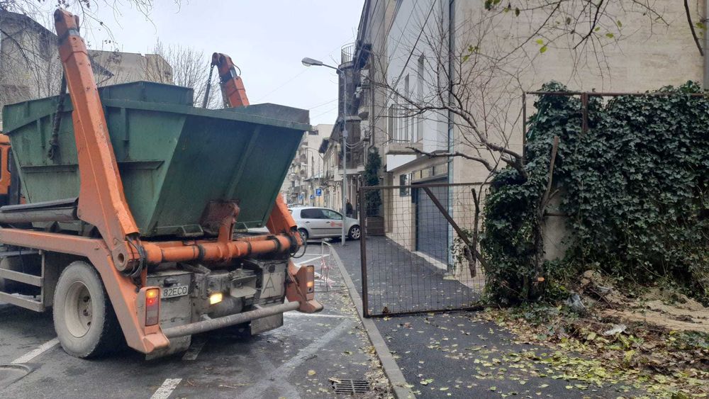 Curatare -  igienizare - defrisare - decopertare - nivelare terenuri