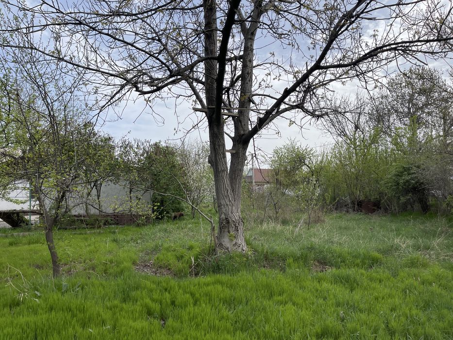 Дом с земельным учаском