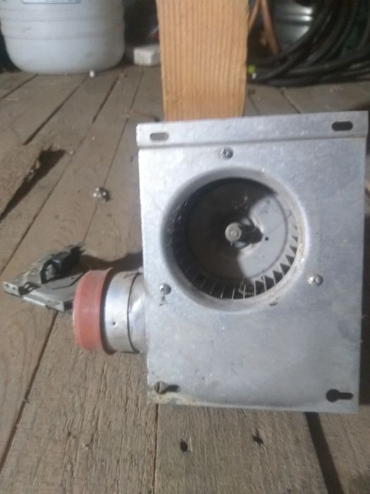 Incubator profesional