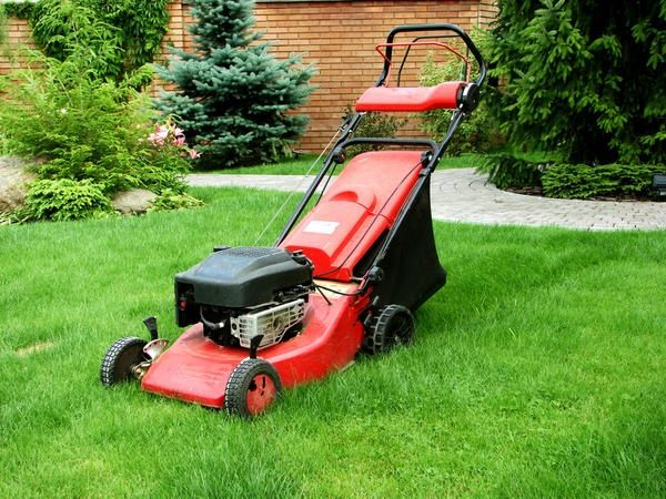 Газон уриш стрижка Газон косилка бензин