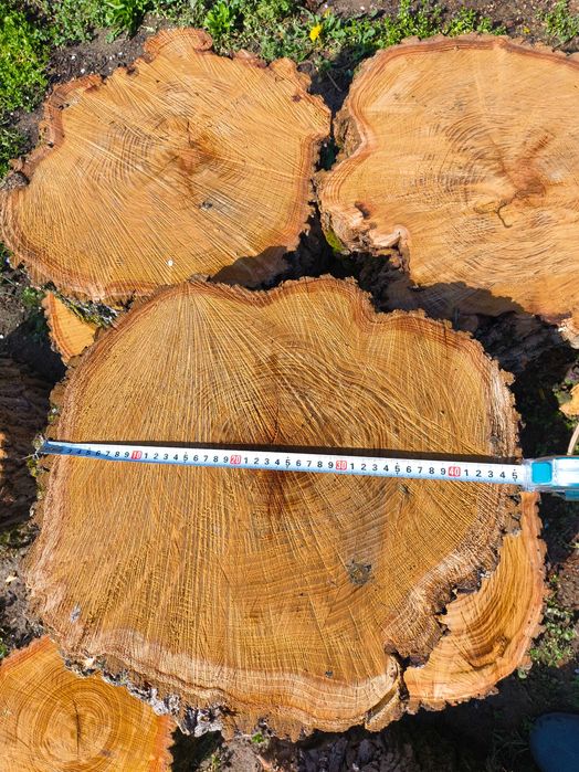 Дънери от черница