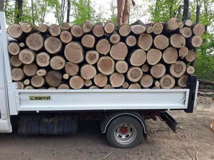 Lemne de foc esenta tare