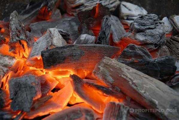 Уголь из какой древесины лучше подходит для шашлыка?