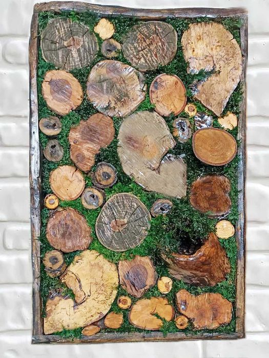 Декоративно пано от дърво и естествен мъх, арт декорация - 61х40 см
