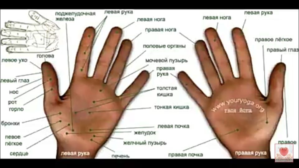 Пальцы отвечающие за органы. Точки органов на ладони. Акупунктурные точки на ладони. Точки на руках отвечающие за органы. Обозначение органов на ладони.