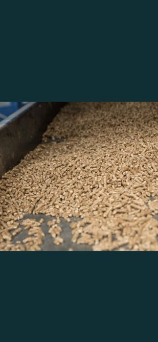 Борино Лес 100% иглолистни от Производител