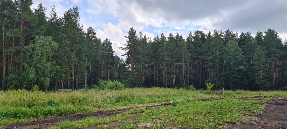 Участок в Лесхозе Буланды