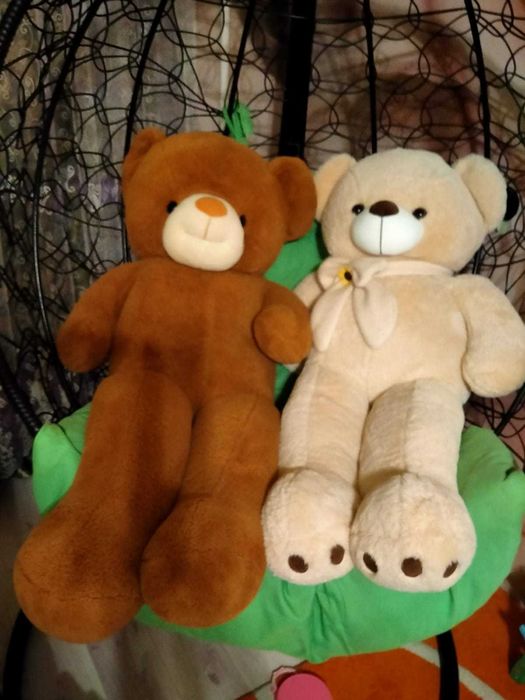 Метровые медведи