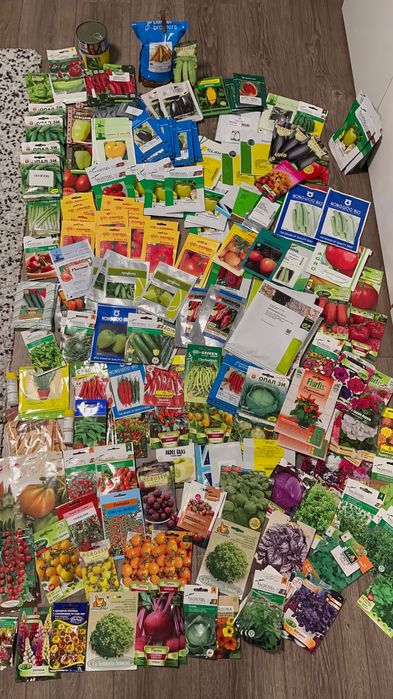 Vand rasad rosii,vinete,ardei, rasaduri plante aromatice și flori