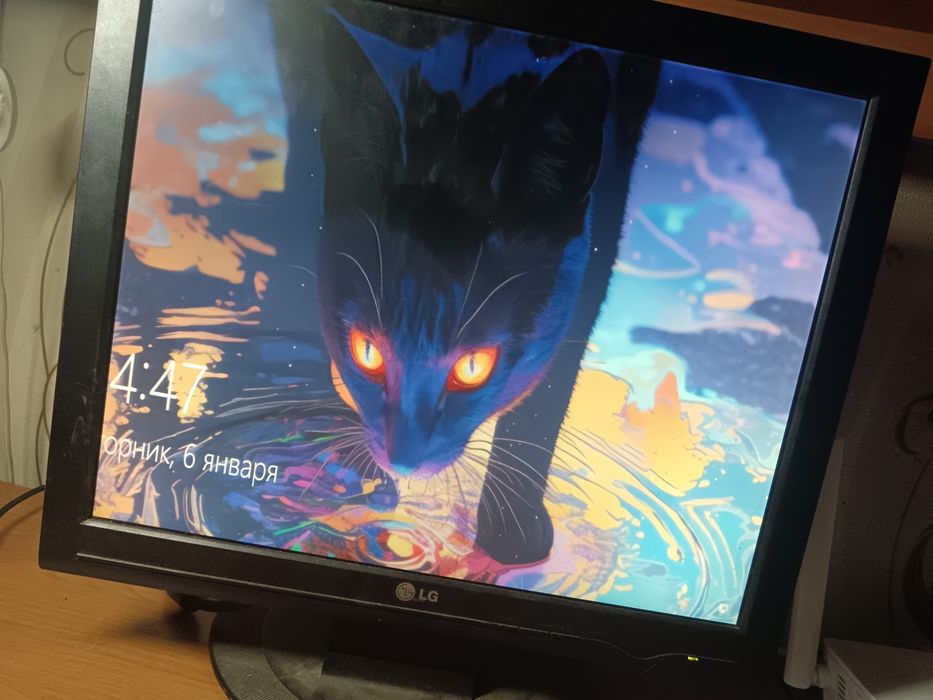 Монитор LG, 2006 года.