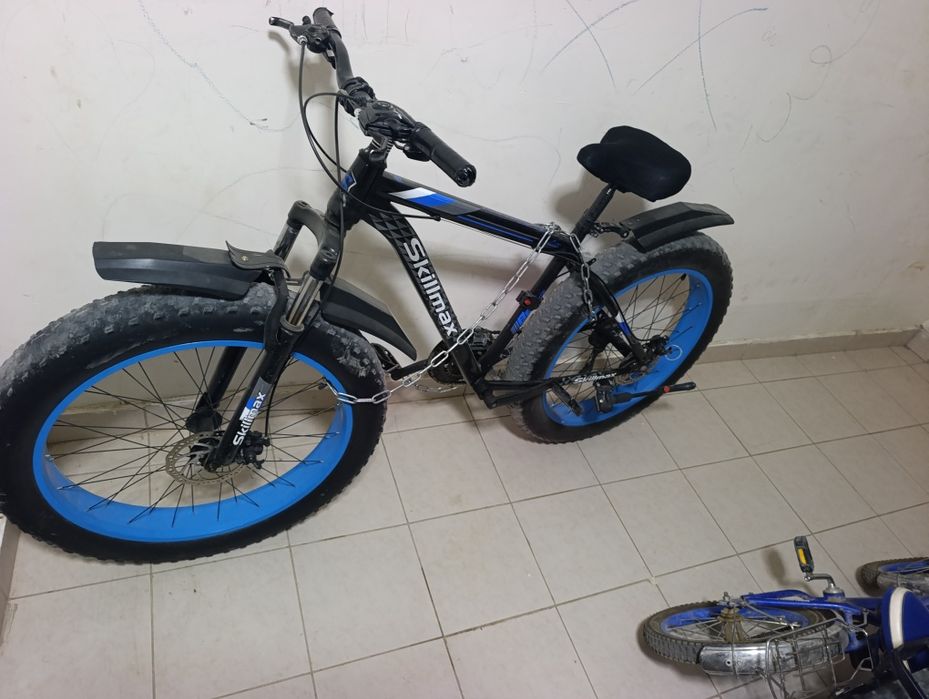 Velosped kattalarniki