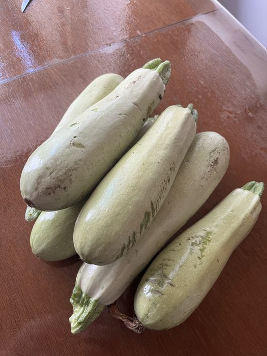 Продам кабачки домашние