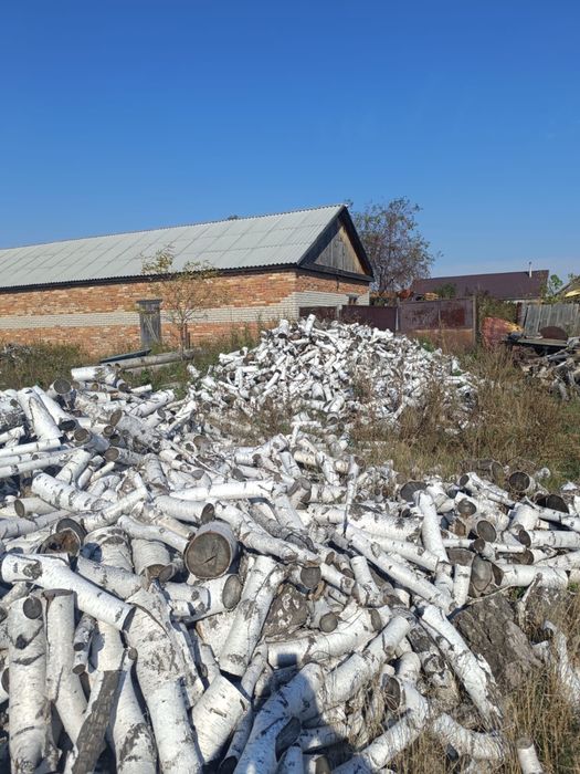 Продам дрова береза 10000 куб, самовывоз