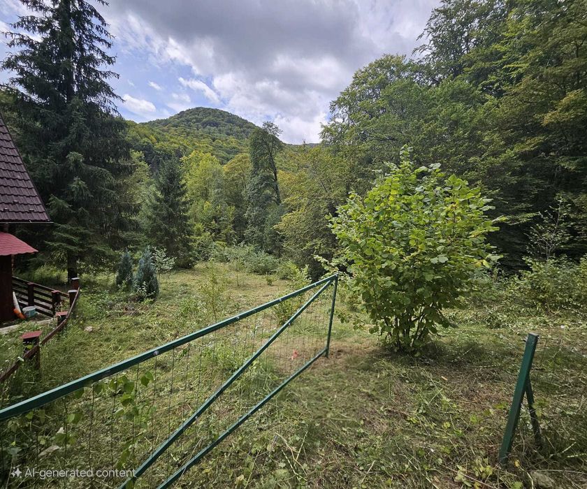 Teren de vis in padure