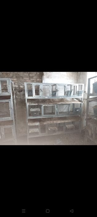 Клетки для кроликов