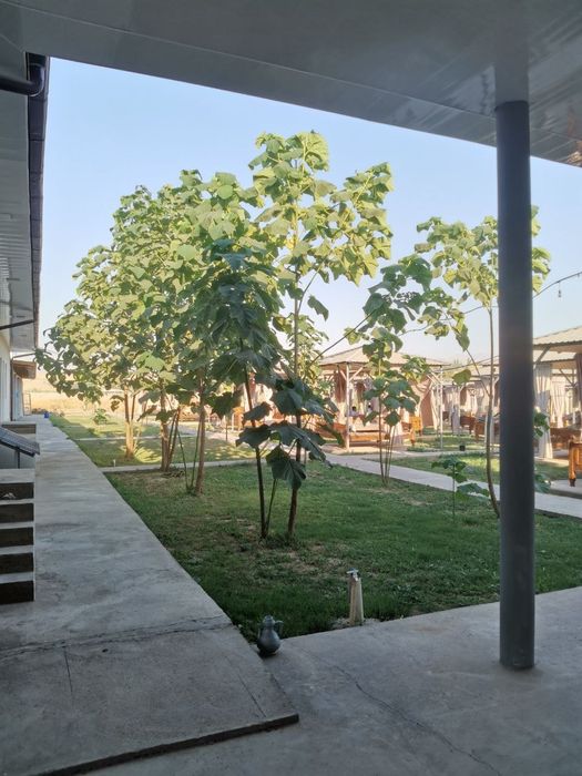 Arendaga beriladi ishlab turgan hamma abarudivinalari bor