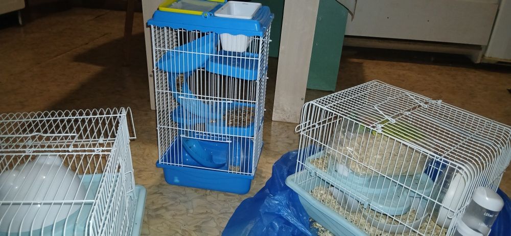 Продаю домик для хомяк