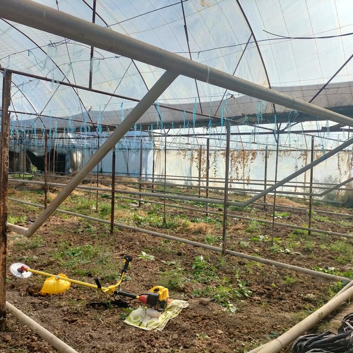 Parnik sotiladi 3,5 sotix