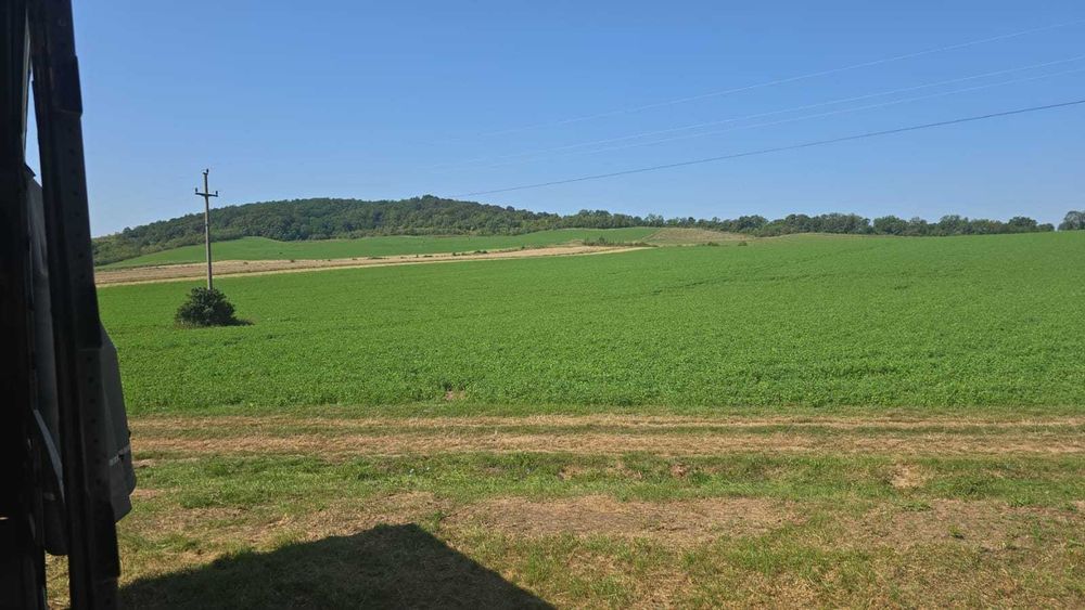 Baloți de lucernă înfoliați