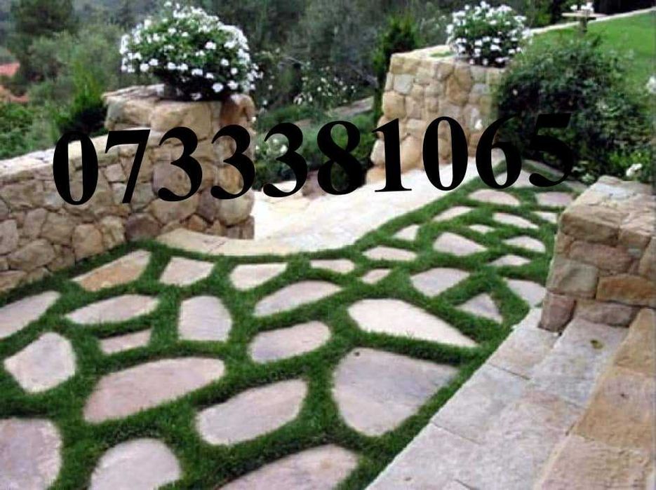 Grădini Unice – Plante Selecte, Gazon Dens și Detalii Decorative!