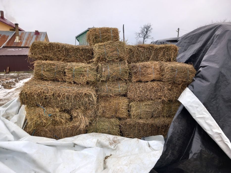 Lucernă de vânzare