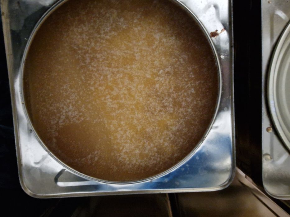 Пчелен мед билков 2025г за Варна безплатна доставка