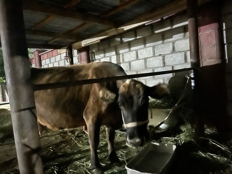 Стенка мебель в хорошем состояний