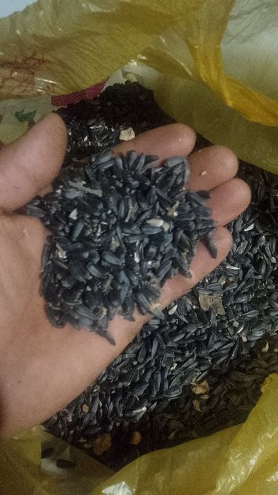 Продажа и закупаем