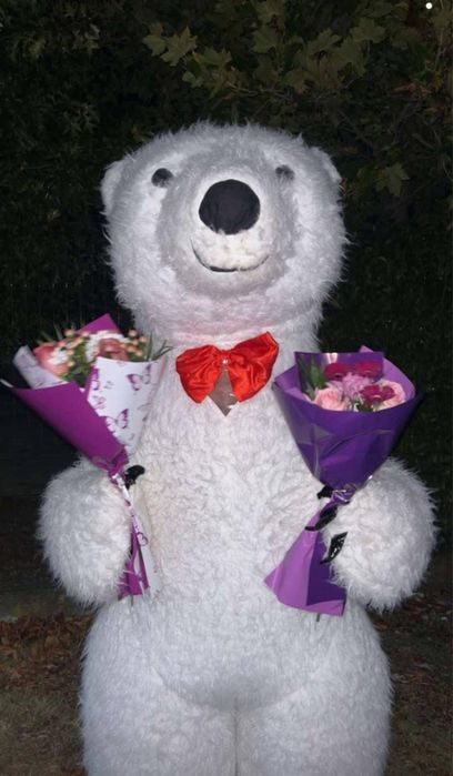 Alcool Test evenimente Mascote//Audio guestbook//Laser//Zapada