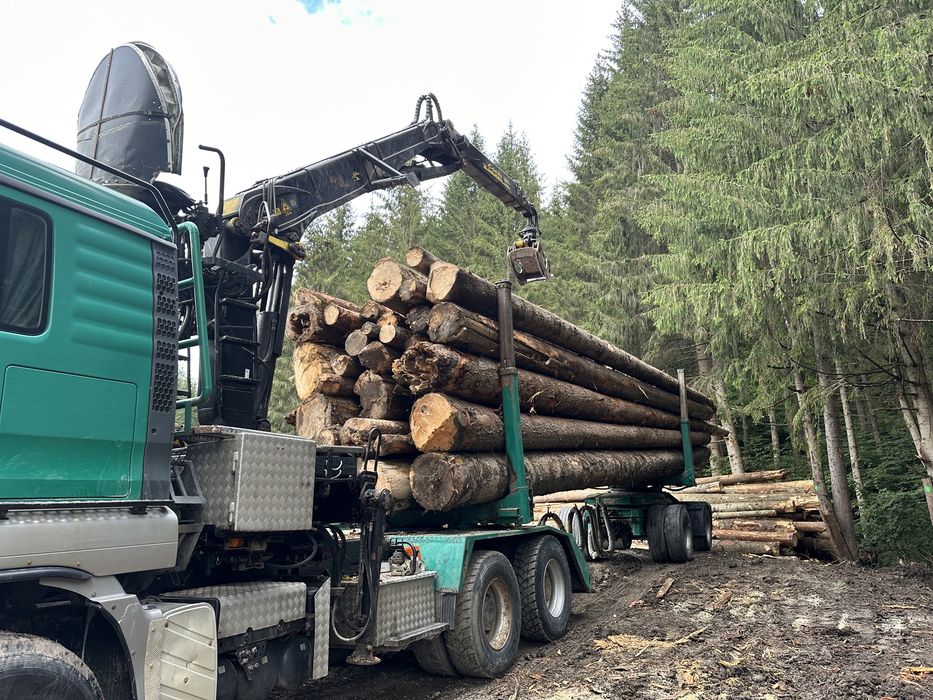 Camion Forestier  Peridoc Man Tga 33.480