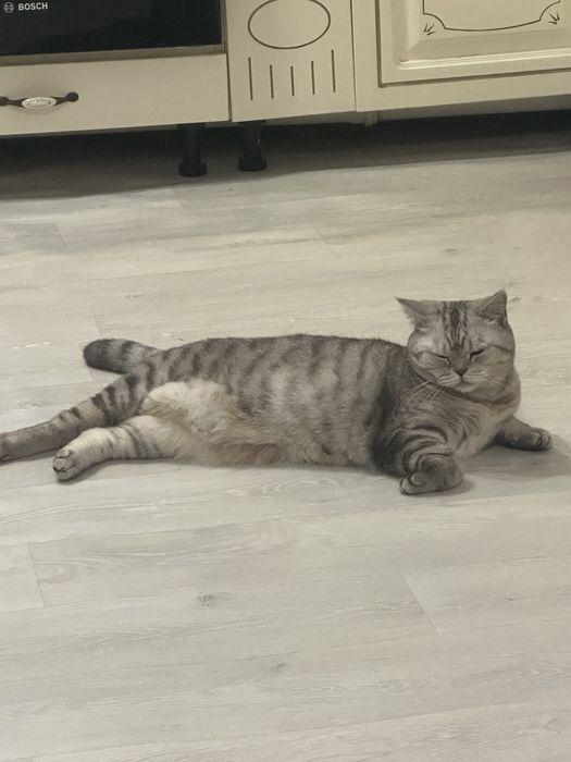 Отдам в хорошие руки