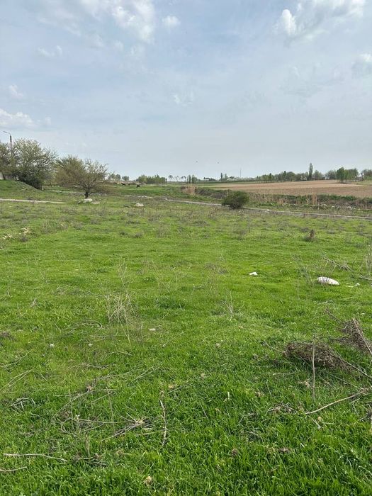 Земля 60 соток Назарбек ипотеки нет только наличными Орентир Комплекс