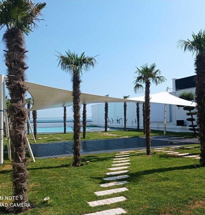 Korshapalak membrana. Membran. membranali gumbaz