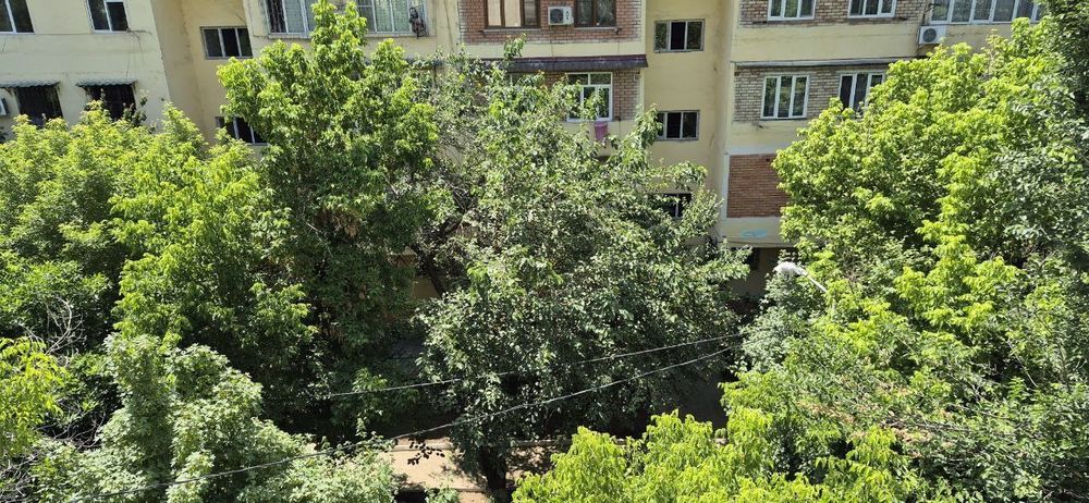 Квартира. Минор. 3 комнаты