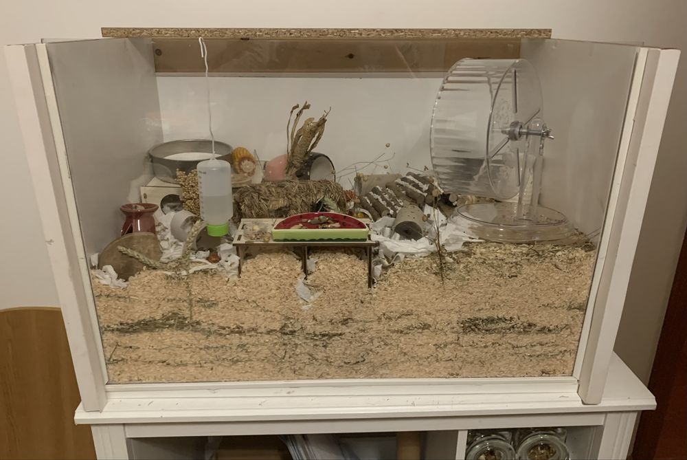Hamster cage/ enclousure