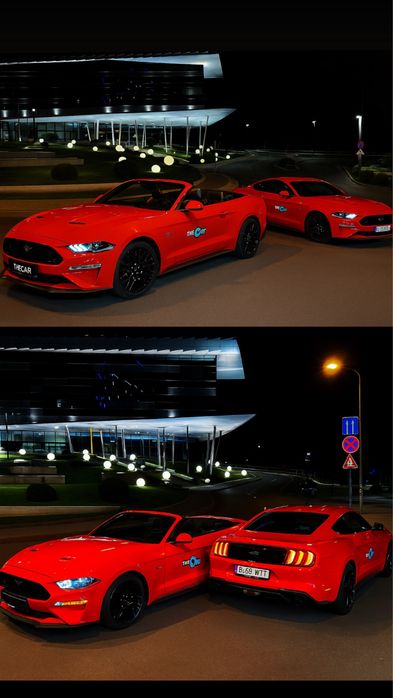 Mustang cabrio  pentru evenimente nunti sedinte foto