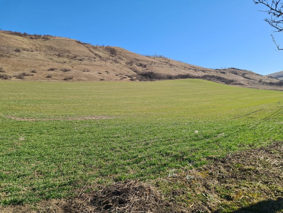 Teren intravilan Caianu Cluj