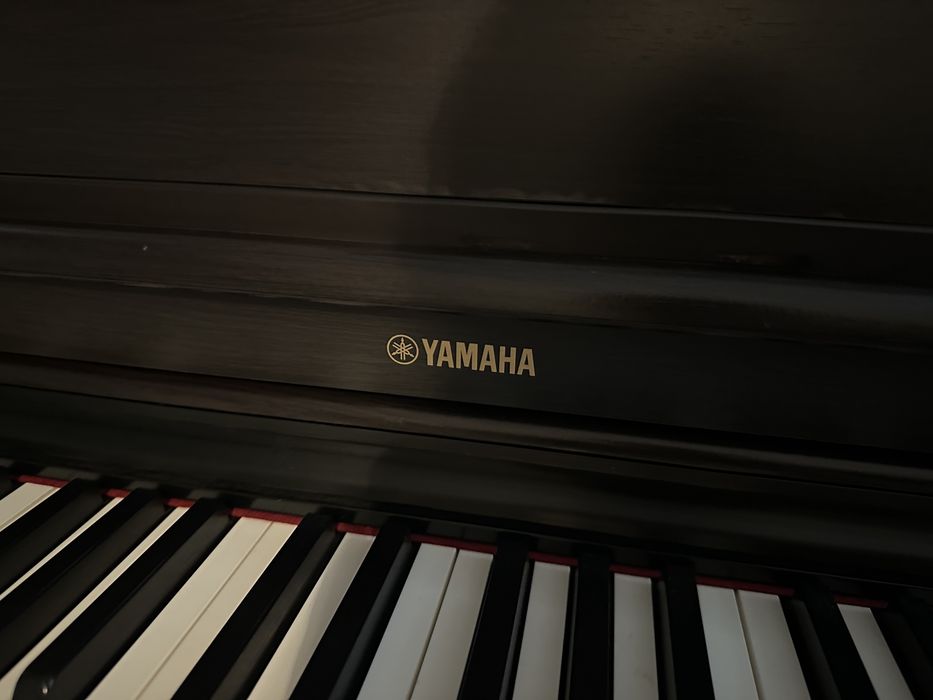 електрическо пиано Yamaha YDP (Arius) 164