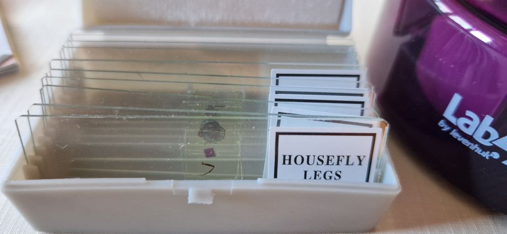 Атрактивен микроскоп Levenhuk LabZZ M101