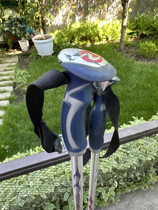 Треккинговые палки