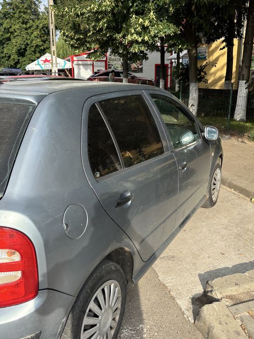 Vand skoda fabia 1