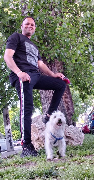 Pet Sitter - Plimb câini și ofer îngrijire la domiciliu