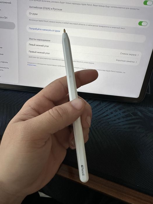 Apple pencil gen 2 (orginal)