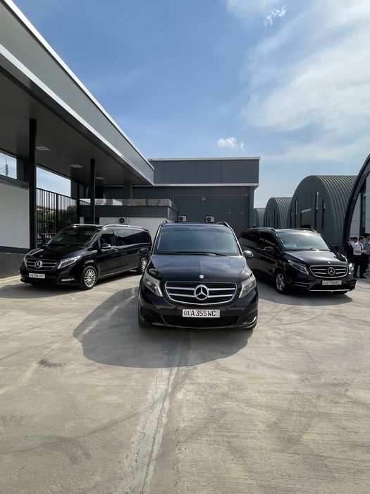 ayraport toy delegatsiya transport amirsoy turizm