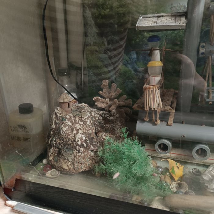Аквариум и декор