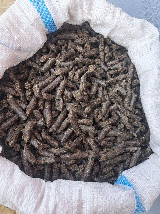 Ulei de floarea soarelui și șrot de floarea soarelui