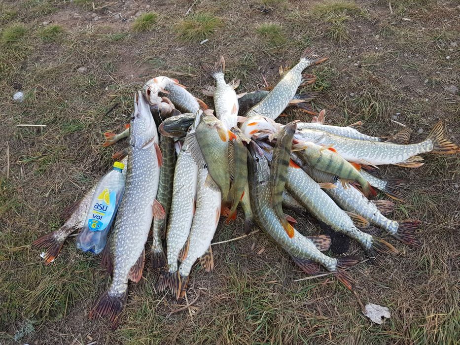 Рыбалка,выезд на рыбалку