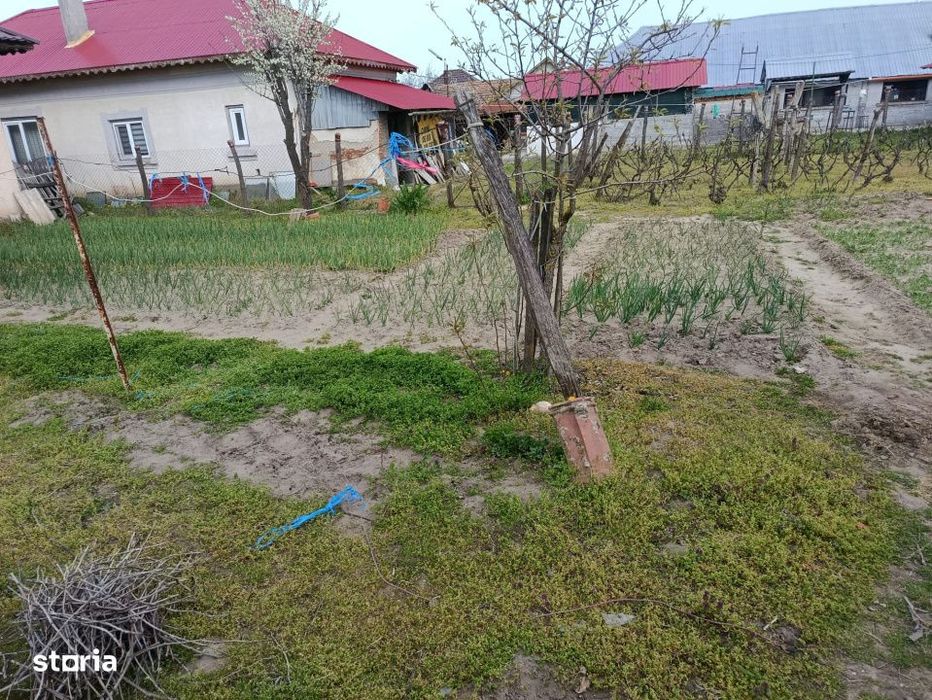 Casa localitatea Soreni Dolj (Comuna Celaru ) teren 8481 mp