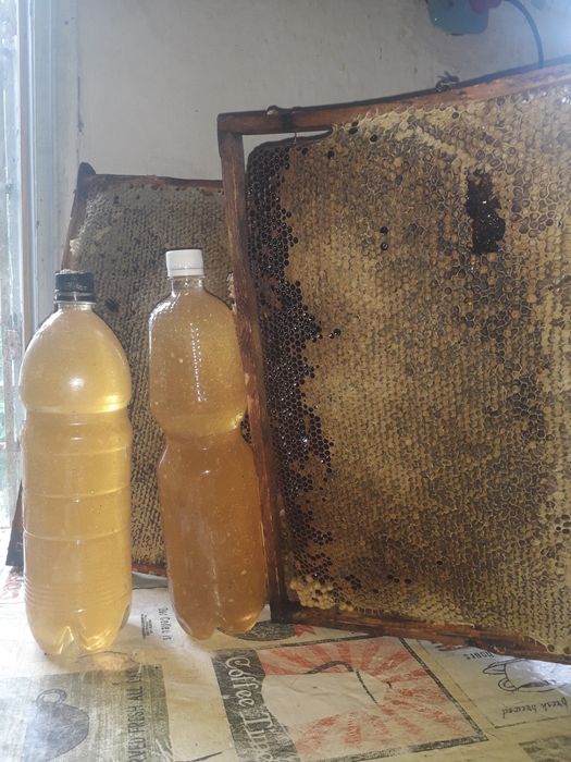 Продам мед, мёд, медок!
